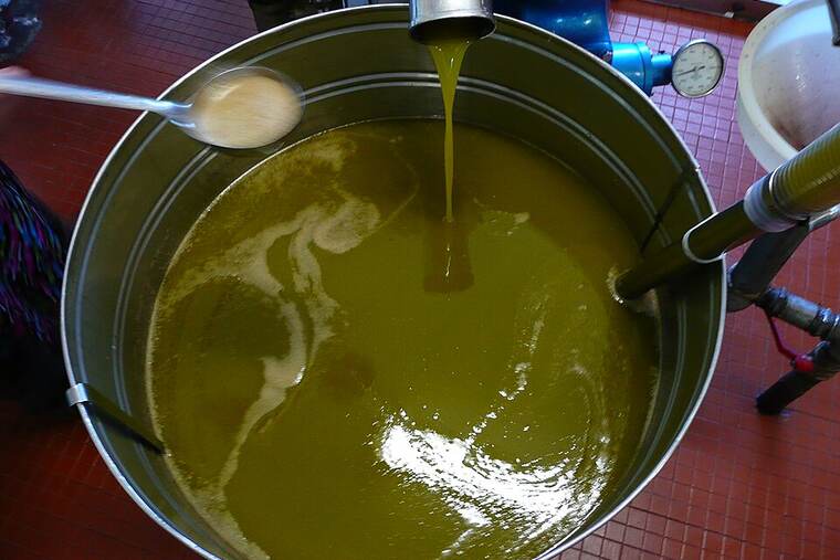 Aceite de grano de uva