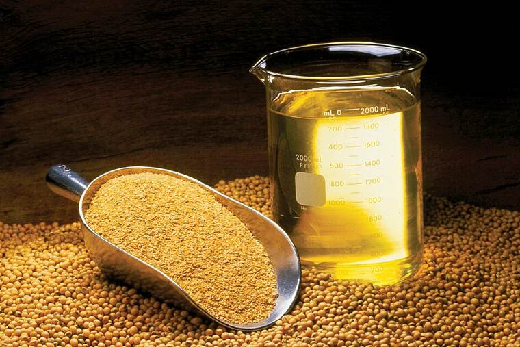 Detalle de aceite de soja