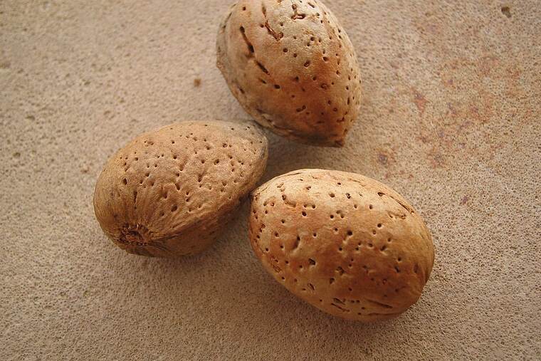 Almendra tostada