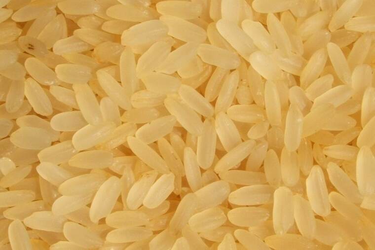 Almidón de arroz