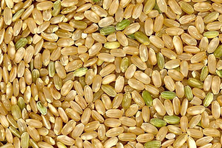 Arroz integral crudo