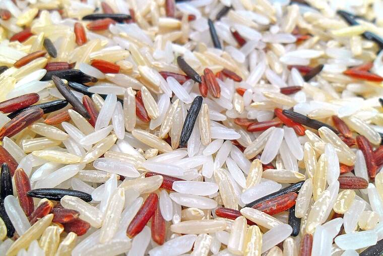 Detalle de arroz integral crudo