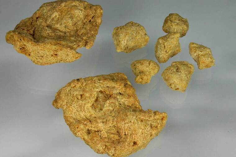 Batido fermentado de soja, uno de los ingredientes de receta de tarta de limón batidora