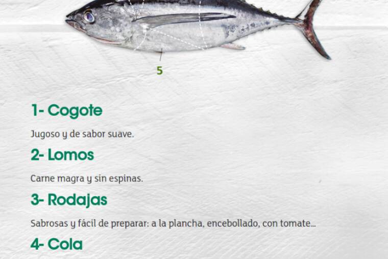 Detalle de bonito del norte enlatado en aceite de soja