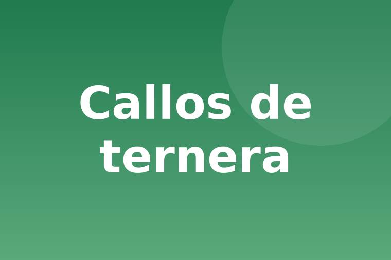 Detalle de callos de ternera