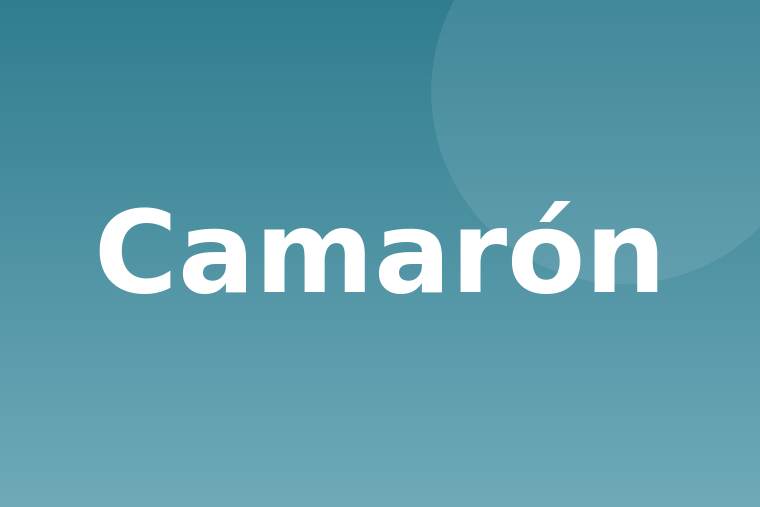Camarón