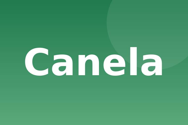 Detalle de canela en polvo