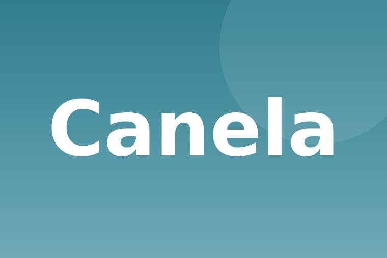 Canela en polvo