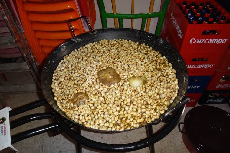 Detalle de caracol