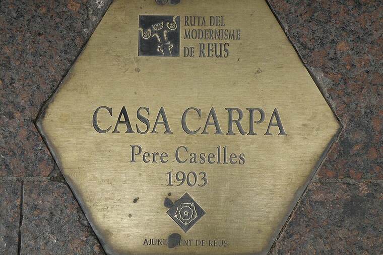 Detalle de carpa cruda
