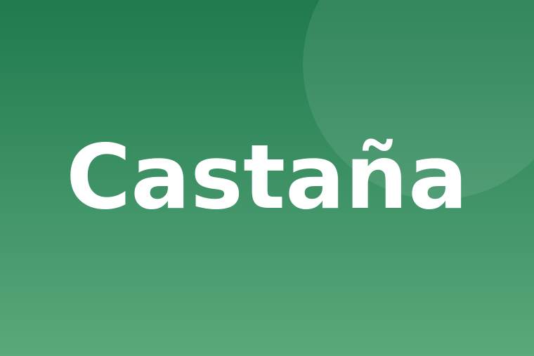Castaña tostada
