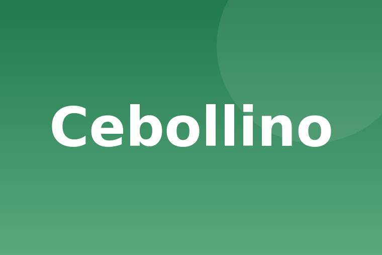 Cebollino crudo