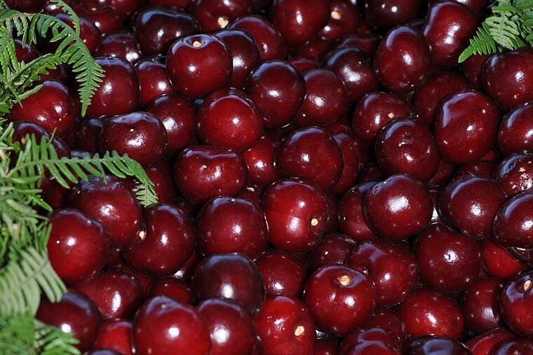 Cereza, uno de los ingredientes de receta de bolas de bourbon de cereza