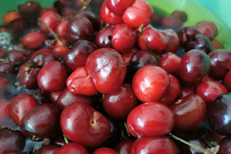Cereza