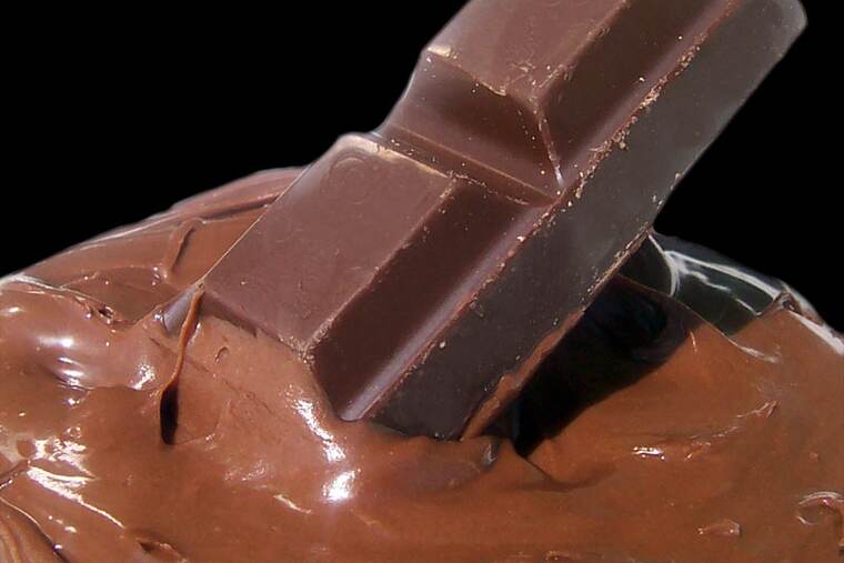 Detalle de barrita cereales trigo y chocolate