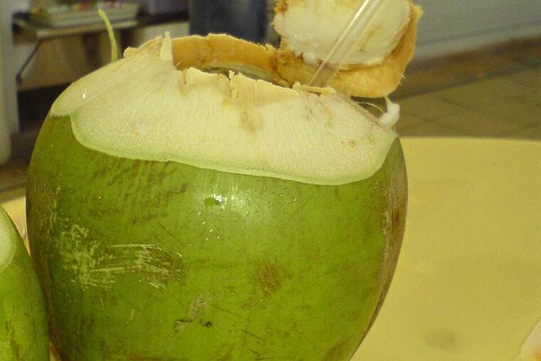 Coco desecado