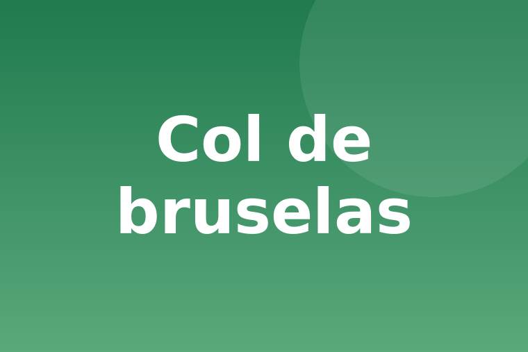 Detalle de col de bruselas cruda