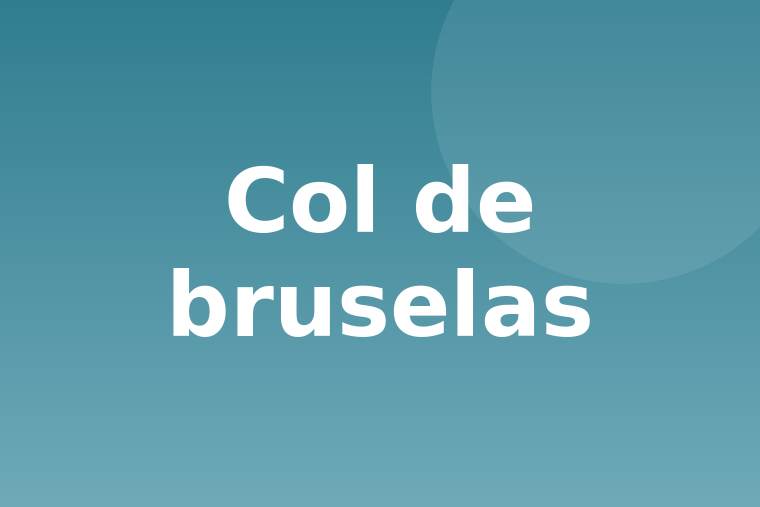 Col de bruselas cruda