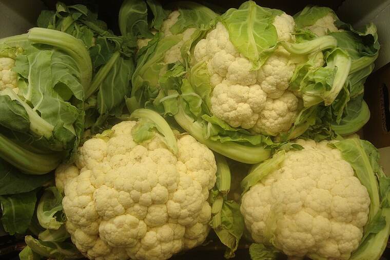 Coliflor hervida, ingrediente de receta de sopa de coliflor suave