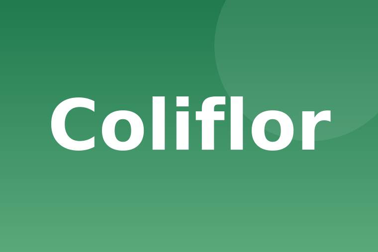 Detalle de coliflor congelada cruda
