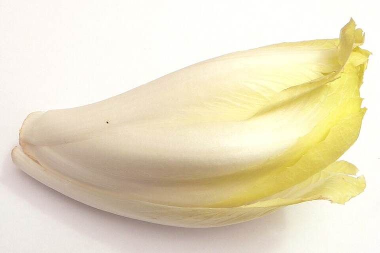 Endibia