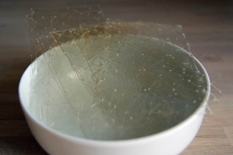 Detalle de gelatina