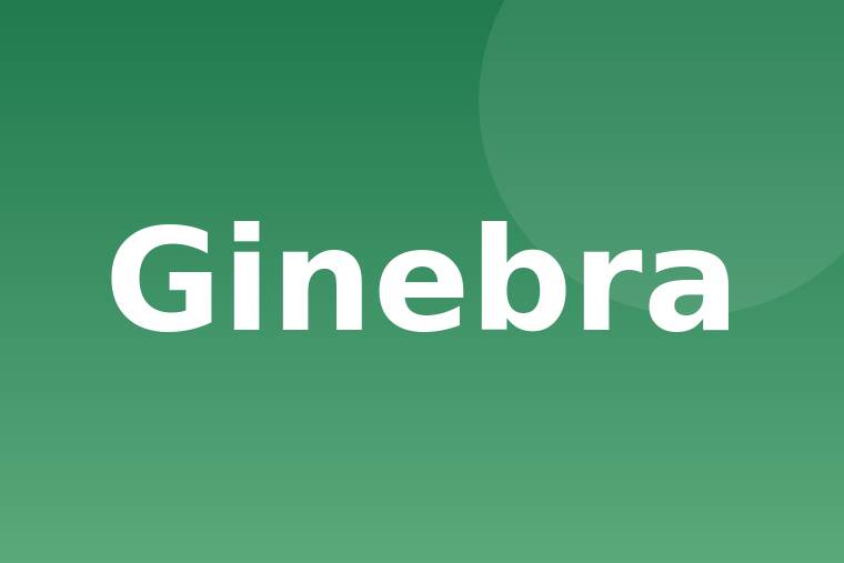 Detalle de ginebra