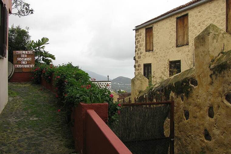 Detalle de gofio
