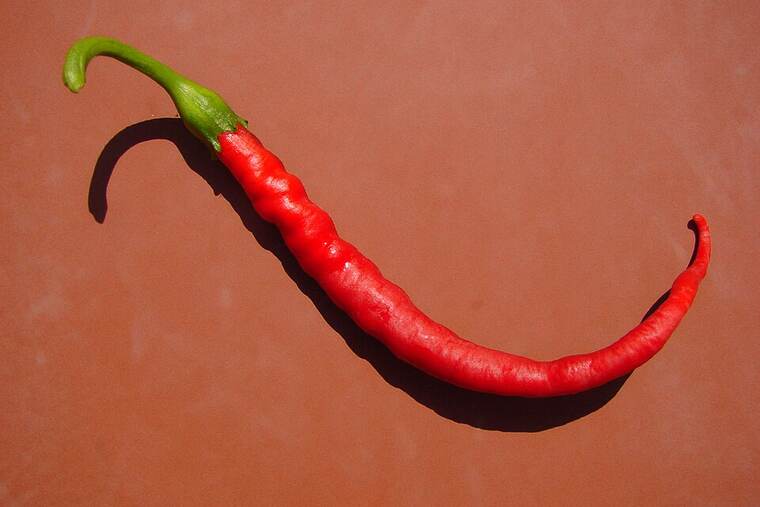 Detalle de guindilla picante