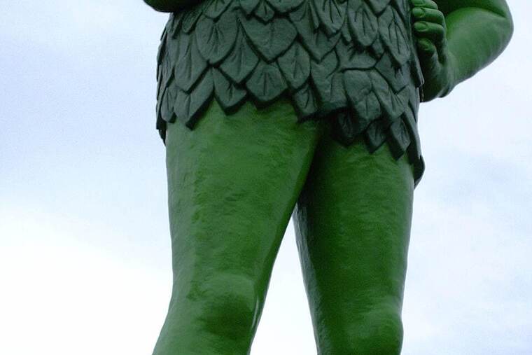 Guisante seco crudo