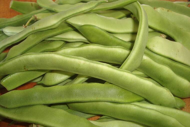 Judía pinta, ingrediente de receta de judías verdes con eneldo