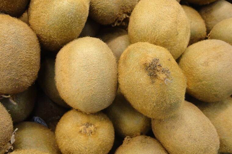 Kiwi