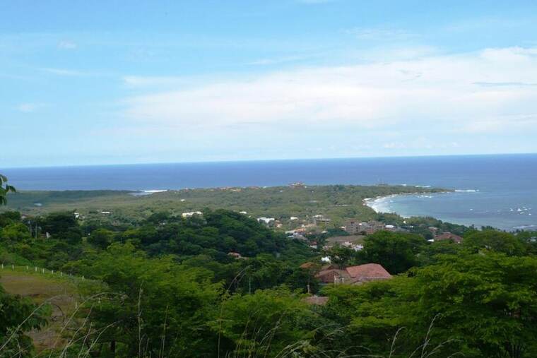 Langosta