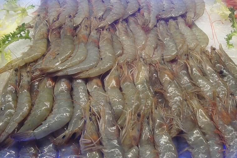 Langostino