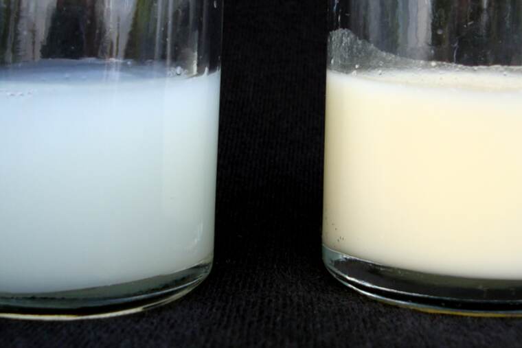 Detalle de leche materna