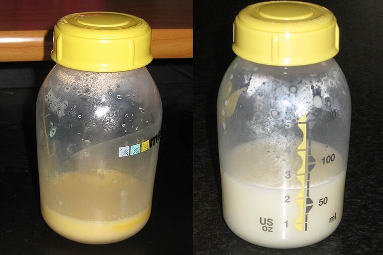 Leche materna
