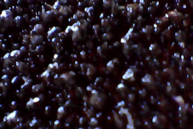 Lija cruda
