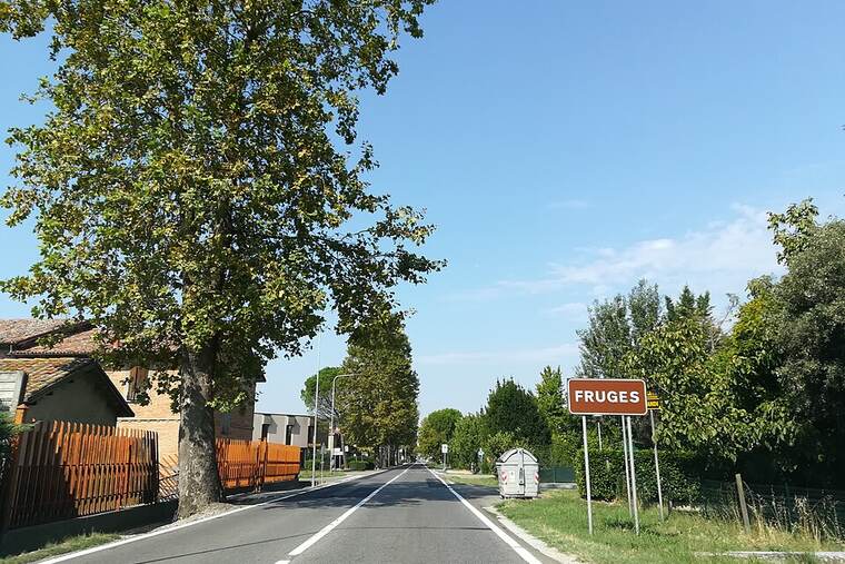 Lombarda