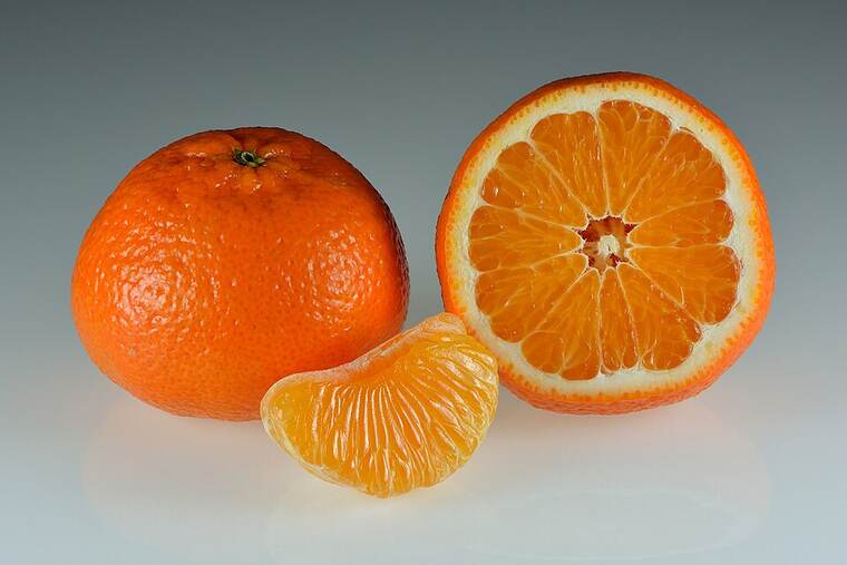 Detalle de mandarina congelada