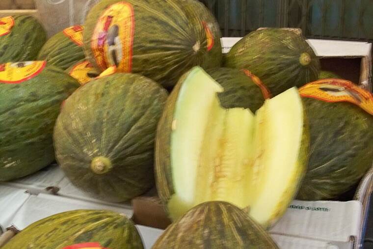 Melón