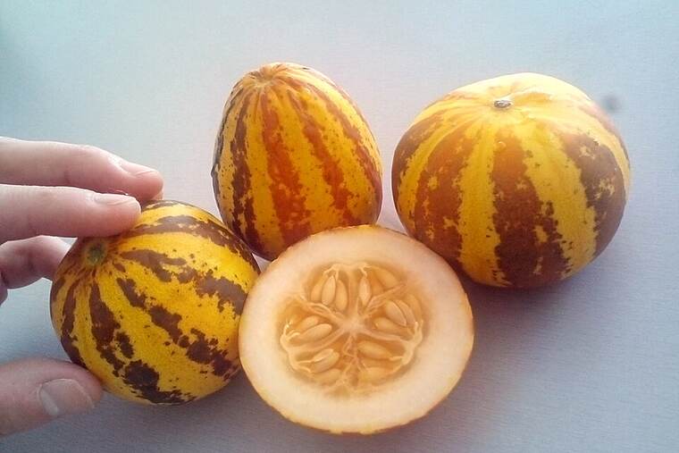 Detalle de melón