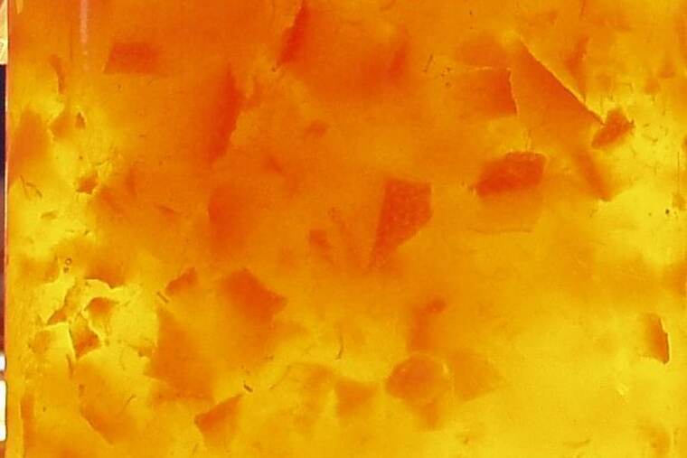 Mermelada de naranja