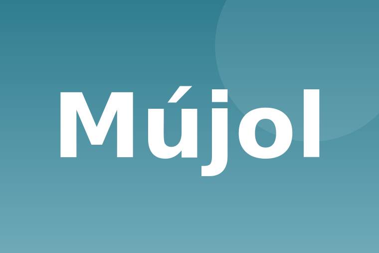 Mújol crudo