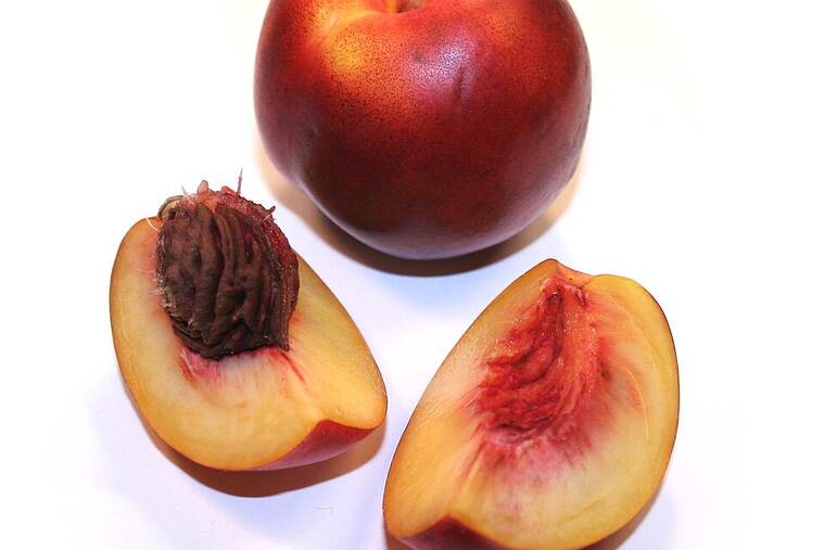 Nectarina
