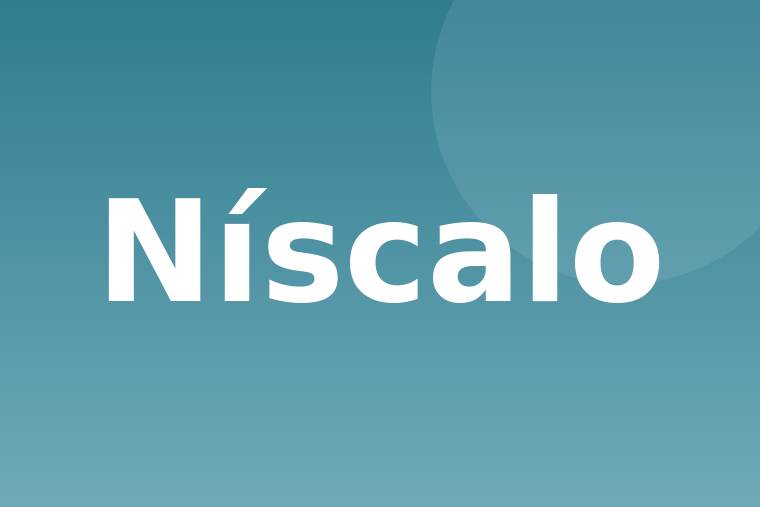 Detalle de níscalo crudo