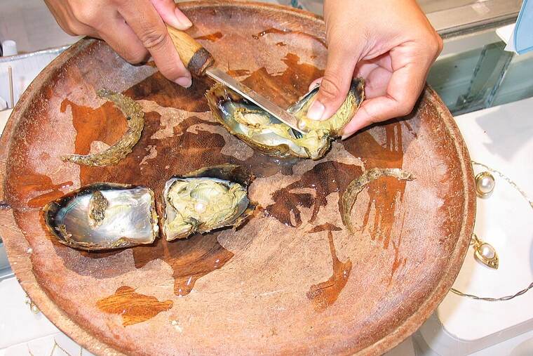 Detalle de ostra cruda