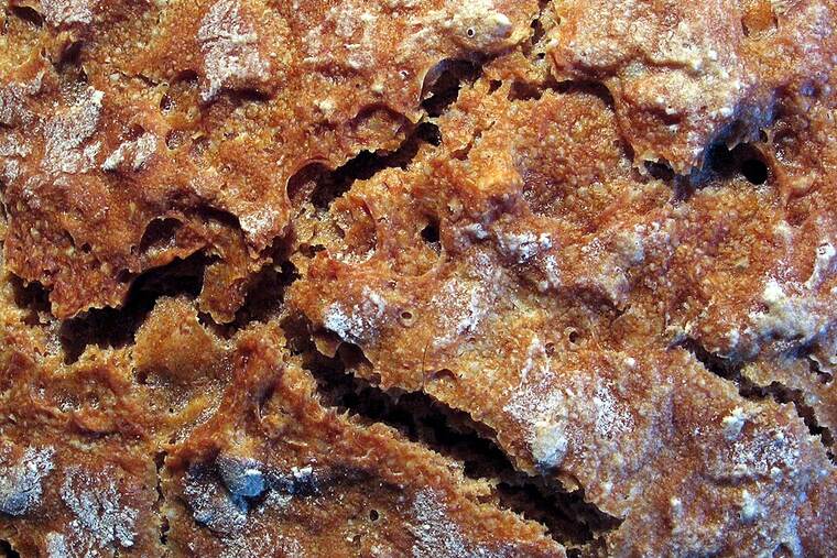 Detalle de pan integral