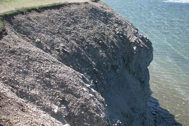 Panga cruda