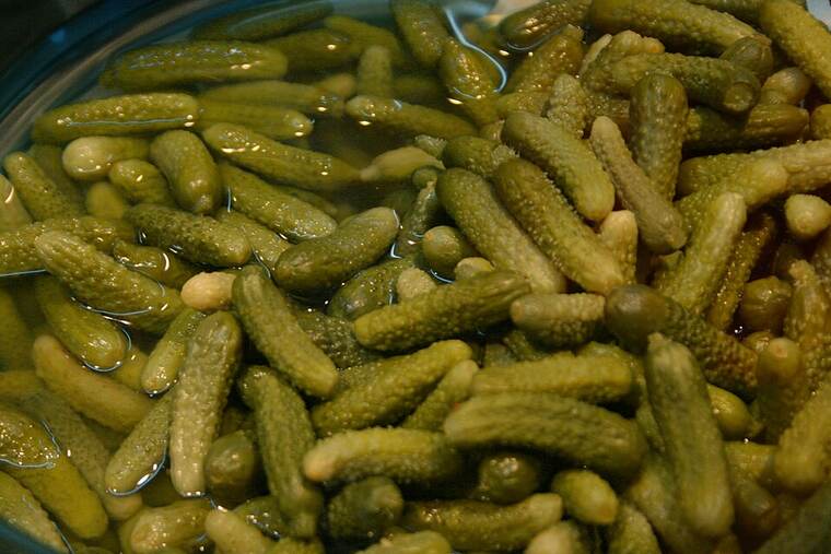 Pepinillos en vinagre
