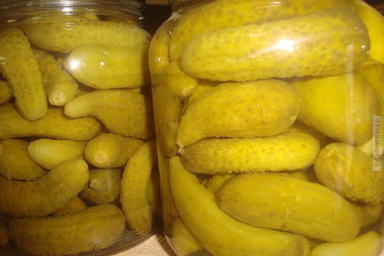 Pepinillos en vinagre